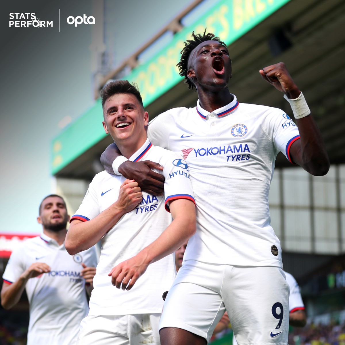 非常明显 非常明显