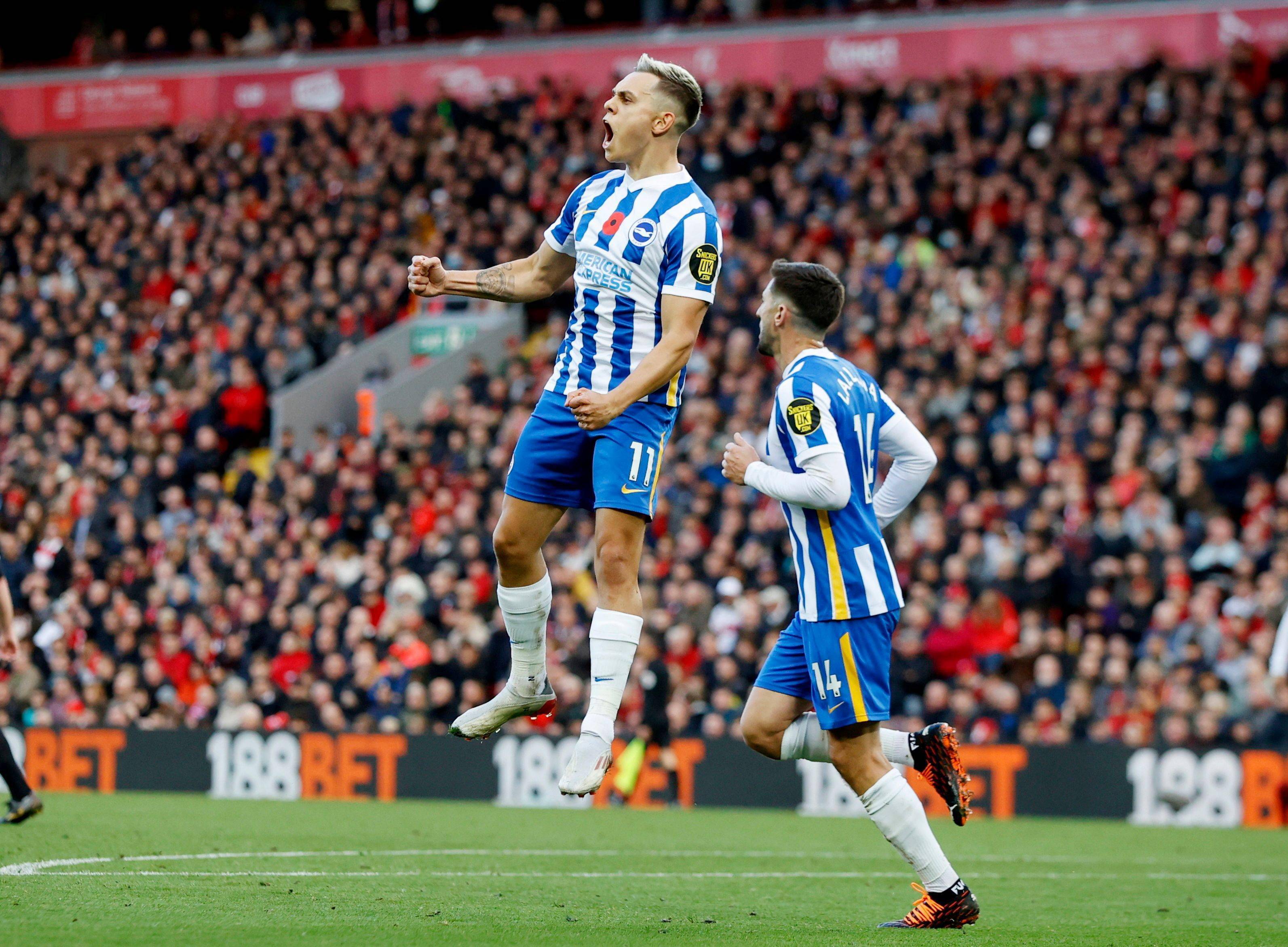 通过这项比 通过这项比