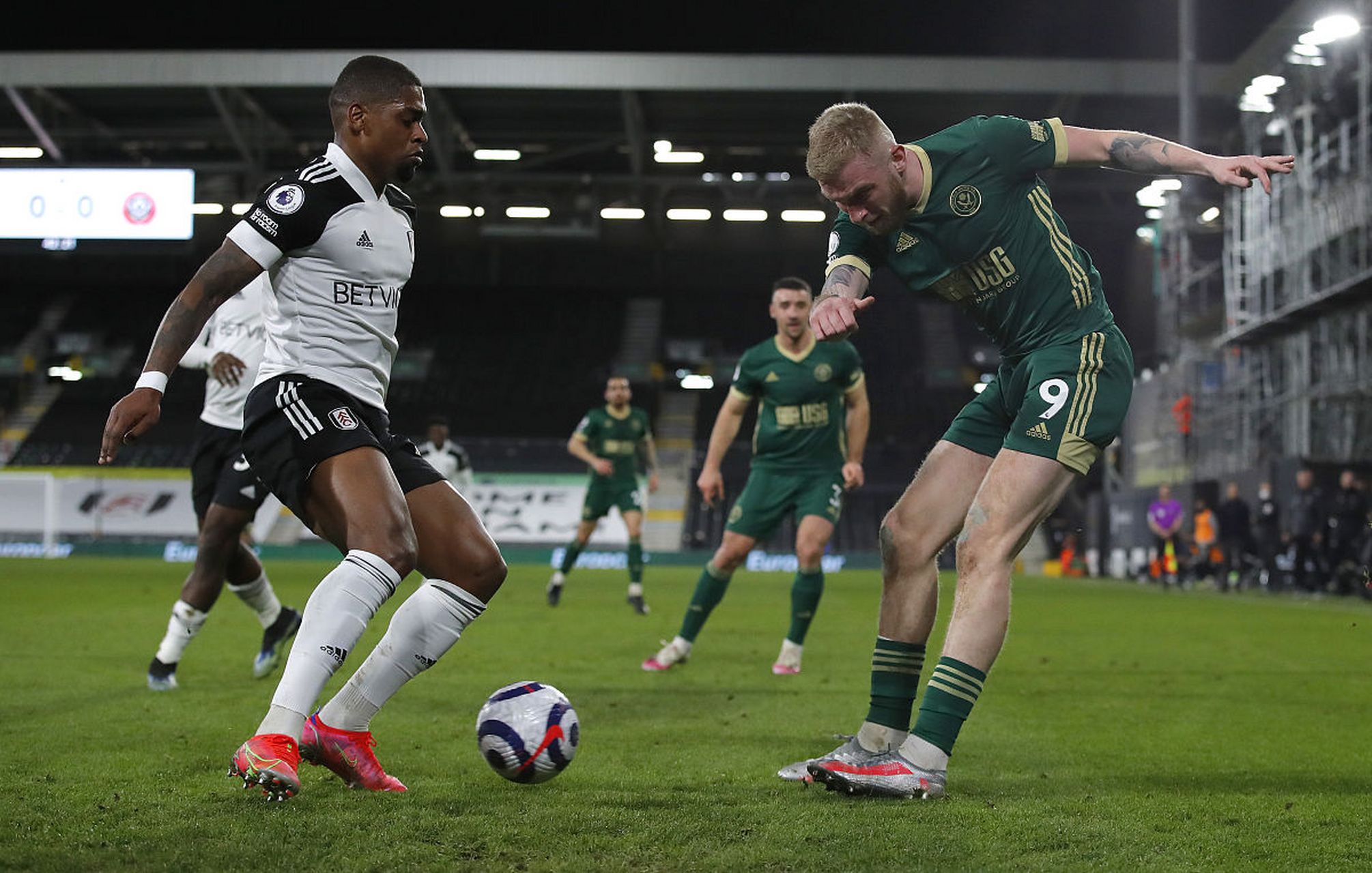 尤其是适应 尤其是适应